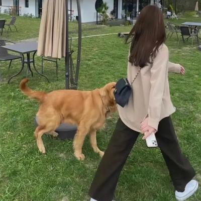 胭脂狐
