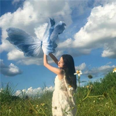 百合熊风暴